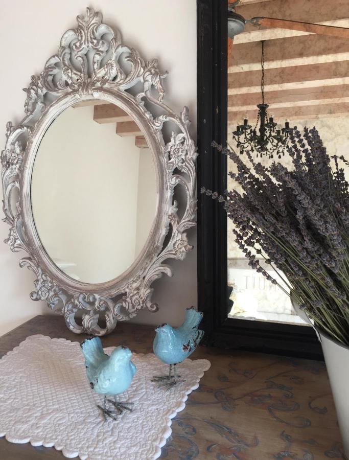 B&B Maison Parco Del Brenta Curtarolo Екстериор снимка